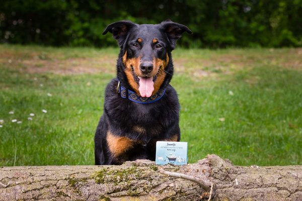 Shampoo hond – biologische hondenshampoo - hondenshampoo natuurlijk - hond shampoo