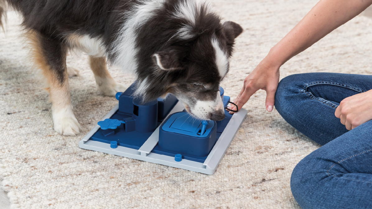 hondenpuzzels - honden denkspel - denkspellen hond - hondenpuzzel