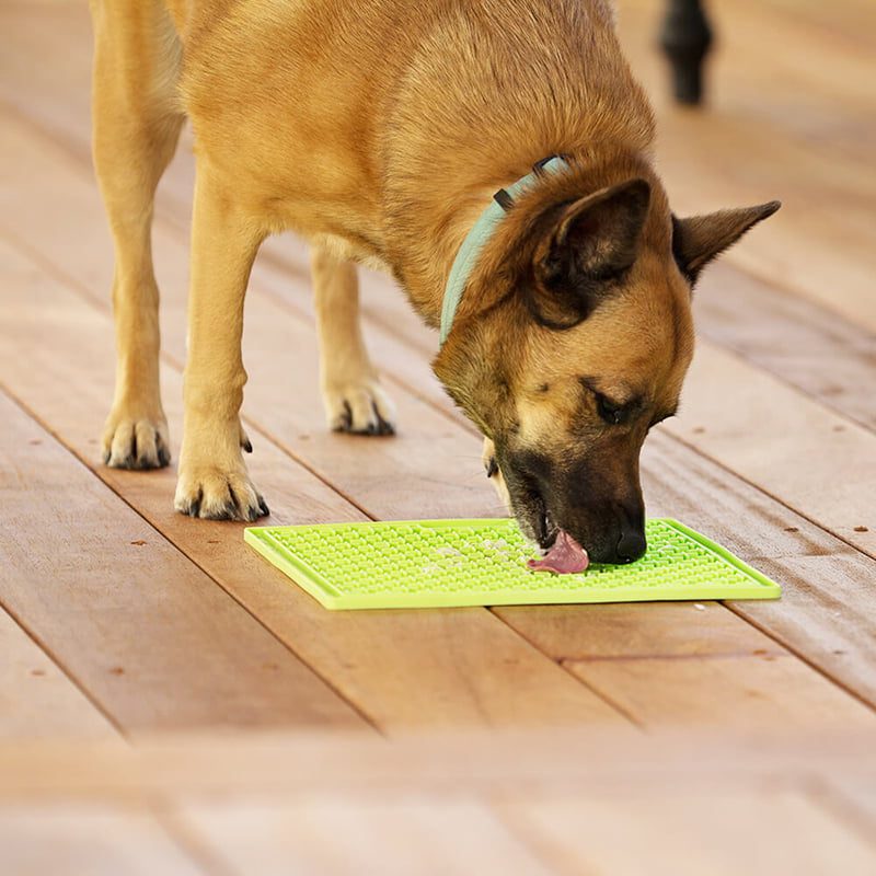 lickimat buddy - voermat hond - lickimat kopen - lickimat puzzel – anti schrok voerbak
