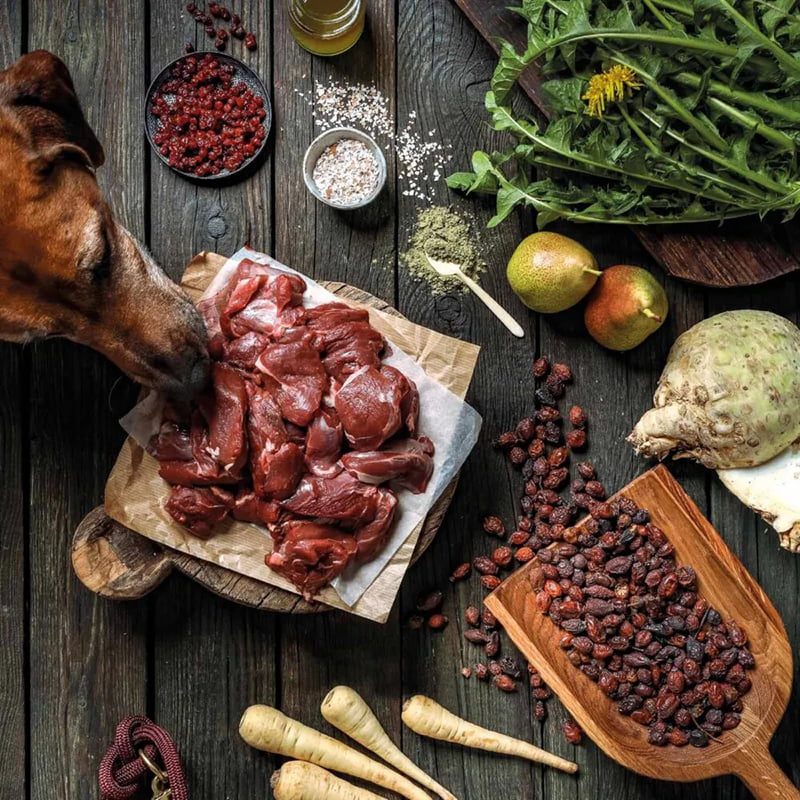 natuurlijk natvoer hond - biologische hondenvoeding - biologisch vers vlees hond - biologisch hondenvoer