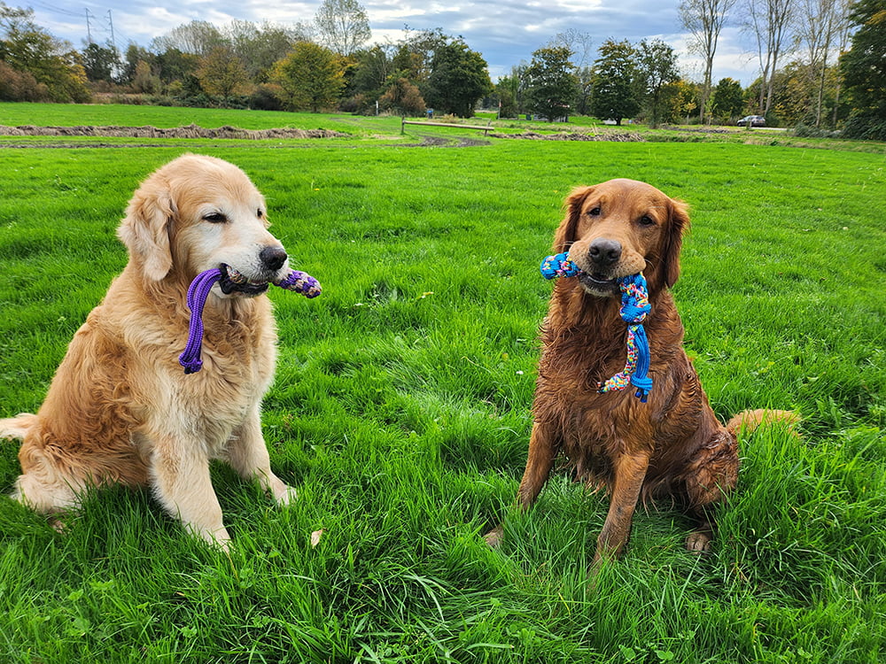 apporteerspeelgoed hond - drijvend hondenspeelgoed touw dummy - trekspeelgoed hond