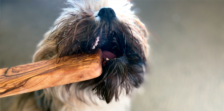 natuurlijke kauwbotten hond - hondenbot akyra skinz - hondenbotten - kauwbot hond