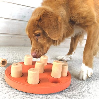 mentale spellen hond - denkspellen hond – hondenpuzzel – honden denkspel - hondenpuzzels