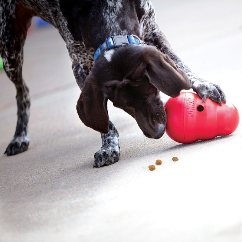 Kong wobbler hondenpuzzel - honden puzzel - denkspellen hond – mentale spellen hond
