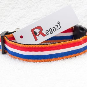 Nederlandse hondenhalsband oranje – halsband hond – honden halsband – halsbanden hond