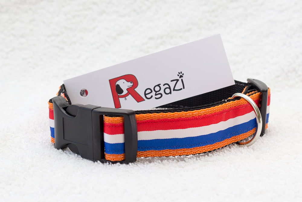 Nederlandse hondenhalsband oranje – halsband hond – honden halsband – halsbanden hond
