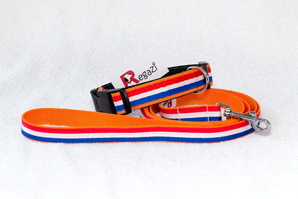 Nederlandse hondenhalsband oranje – halsband hond – honden halsband – halsbanden hond