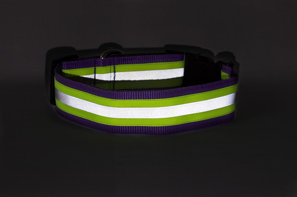 reflecterende hondenhalsband - reflecterende halsband - halsband reflectie