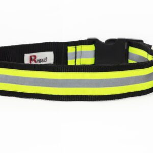 honden halsband reflectie - reflecterende hondenhalsband - reflecterende halsband