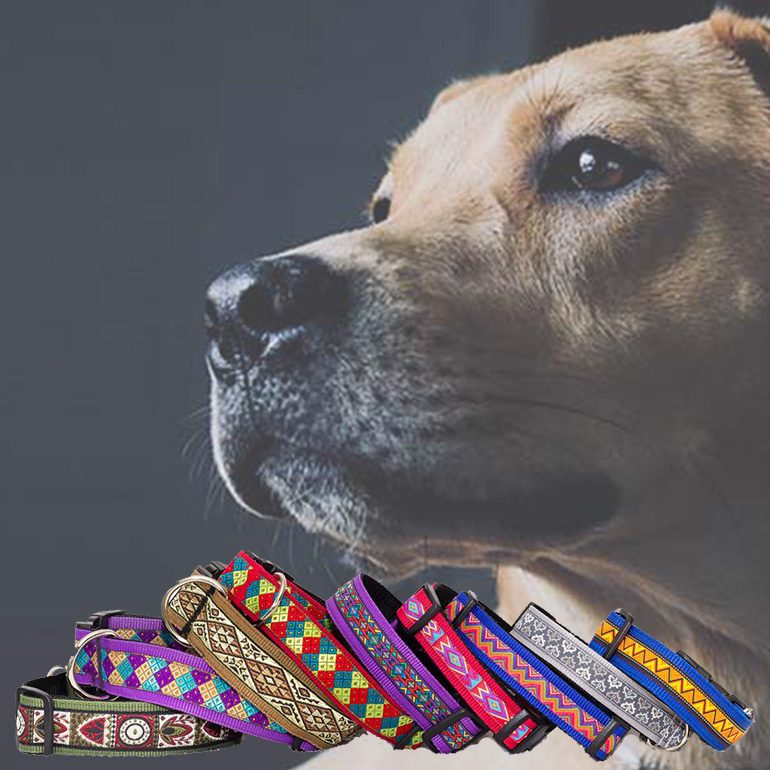 halsbanden-hondenhalsbanden-halsband-hond