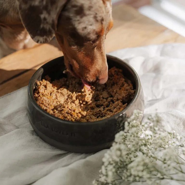 natvoer-hond-lila-loves-it