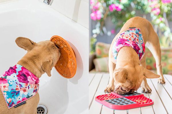 lickimat-hond-voermat-hond